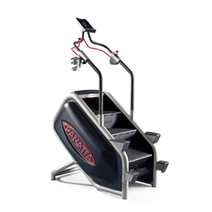 Купить Лестница Panatta EcoClimber в Москве