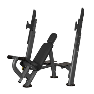 Купить Spirit Fitness AFB101 Скамья для жима с положительным наклоном в Москве
