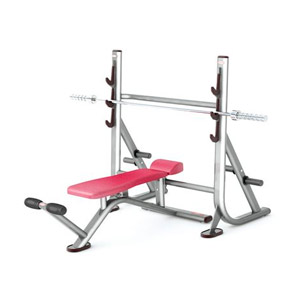 Купить Силовой тренажер Panatta Fit Evo 1FE203 в Москве