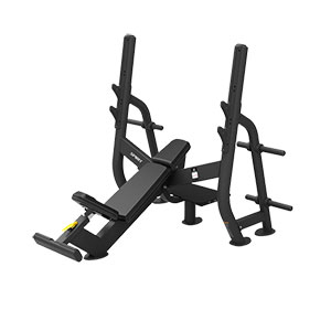 Купить Spirit Fitness SP-4210 Олимпийская скамья для жима под углом в Москве