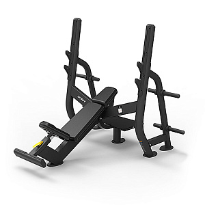 Купить Spirit Fitness SP-4210 Олимпийская скамья для жима под углом в Москве