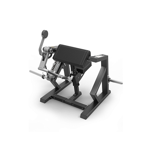 Бицепс машина Spirit Fitness SP-4513 Купить Бицепс машина Spirit Fitness SP-4513 в Москве