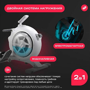 Купить Гребной тренажер Svensson Body Labs WHEELO домашний  в Москве