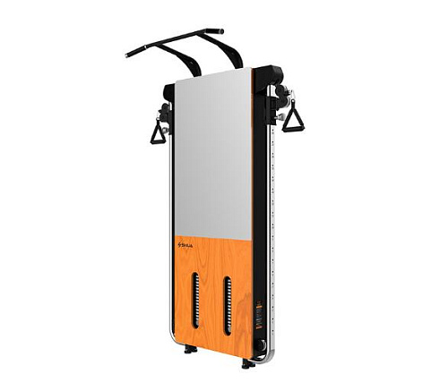 Настенный тренажер SHUA Wall mounted trainer SH-G699 Купить Настенный тренажер SHUA Wall mounted trainer SH-G699 в Москве