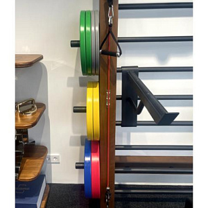 Desire Набор обрезиненных дисков Desire Купить Desire Набор обрезиненных дисков Desire в Москве