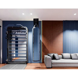 Шведская стенка Desire Многофункциональный тренажер для гармонии с собой BALANCE Купить Шведская стенка Desire Многофункциональный тренажер для гармонии с собой BALANCE в Москве