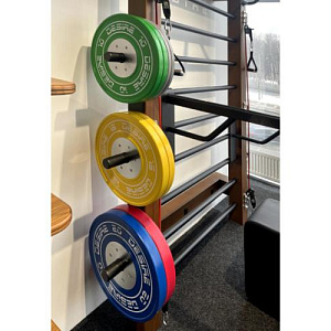 Desire Набор обрезиненных дисков Desire Купить Desire Набор обрезиненных дисков Desire в Москве