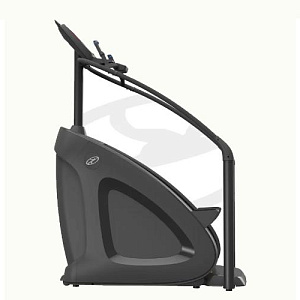 Купить Лестница Oxide Fitness C3S (Climber) в Москве