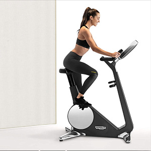 Вертикальный велотренажер Technogym Bike Personal Купить Вертикальный велотренажер Technogym Bike Personal в Москве