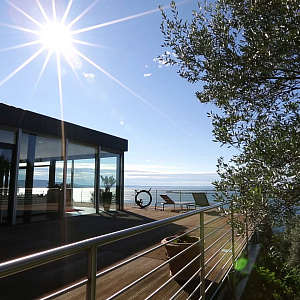 Вертикальный велотренажер Ciclotte Велотренажер вертикальный Ciclotte Carbon Fiber черный Купить Вертикальный велотренажер Ciclotte Велотренажер вертикальный Ciclotte Carbon Fiber черный в Москве