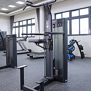 Гравитрон Spirit Fitness SP-4314 Купить Гравитрон Spirit Fitness SP-4314 в Москве