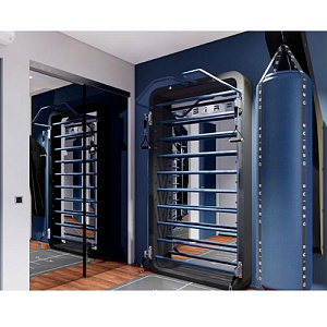 Шведская стенка Desire Многофункциональный тренажер для гармонии с собой BALANCE Купить Шведская стенка Desire Многофункциональный тренажер для гармонии с собой BALANCE в Москве