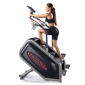 Купить Лестница Panatta EcoClimber в Москве