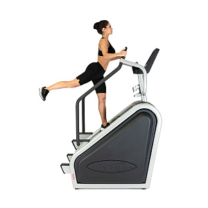 Купить Лестница Panatta Climber Fenix Touch в Москве