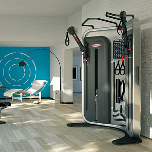 Многофункциональный тренажёр двойная регулируемая тяга DAP Panatta Inside 1IN101 Купить Многофункциональный тренажёр двойная регулируемая тяга DAP Panatta Inside 1IN101 в Москве