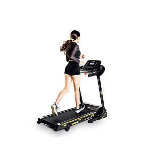 Беговая дорожка Ultra Gym Altezani ALS 1100 Купить Беговая дорожка Ultra Gym Altezani ALS 1100 в Москве