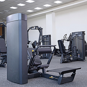 Ягодичный мостик Spirit Fitness SP-4315 Купить Ягодичный мостик Spirit Fitness SP-4315 в Москве