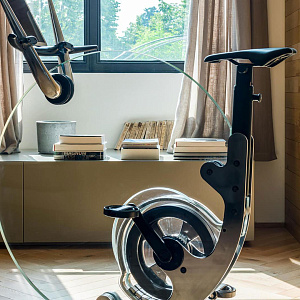 Вертикальный велотренажер Ciclotte Велотренажер вертикальный Ciclotte Teckell серебристый Купить Вертикальный велотренажер Ciclotte Велотренажер вертикальный Ciclotte Teckell серебристый в Москве