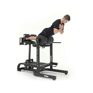 Купить Силовой тренажер Technogym Glute – Ham-Developer в Москве