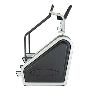 Купить Лестница Panatta Climber Fenix Touch в Москве