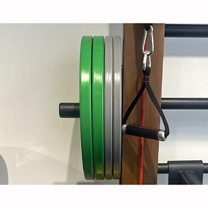 Desire Набор обрезиненных дисков Desire Купить Desire Набор обрезиненных дисков Desire в Москве