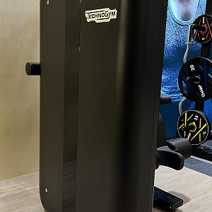 Тренажер для мышц пресса Technogym Total Abdominal Artis Купить Тренажер для мышц пресса Technogym Total Abdominal Artis в Москве