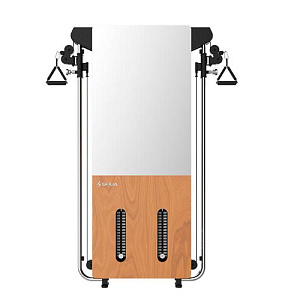 Настенный тренажер SHUA Wall mounted trainer SH-G699 Купить Настенный тренажер SHUA Wall mounted trainer SH-G699 в Москве