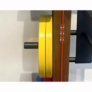 Desire Набор обрезиненных дисков Desire Купить Desire Набор обрезиненных дисков Desire в Москве