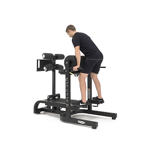 Купить Силовой тренажер Technogym Glute – Ham-Developer в Москве