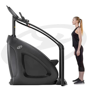 Купить Лестница Oxide Fitness C3S (Climber) в Москве