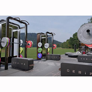 Уличный комплекс Desire Уличный комплекс Desire Gym Portal Купить Уличный комплекс Desire Уличный комплекс Desire Gym Portal в Москве