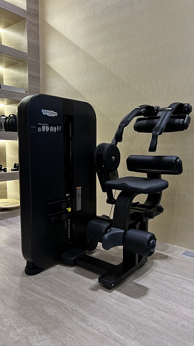 Тренажер для мышц пресса Technogym Total Abdominal Artis Купить Тренажер для мышц пресса Technogym Total Abdominal Artis в Москве