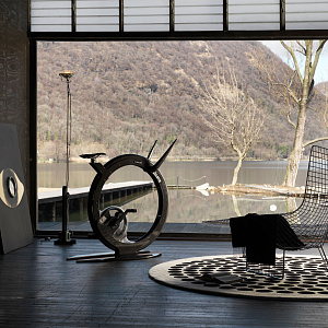 Вертикальный велотренажер Ciclotte Велотренажер вертикальный Ciclotte Carbon Fiber черный Купить Вертикальный велотренажер Ciclotte Велотренажер вертикальный Ciclotte Carbon Fiber черный в Москве