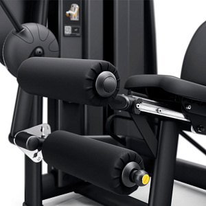 Сгибание ног Technogym Selection 900 Leg Curl Купить Сгибание ног Technogym Selection 900 Leg Curl в Москве