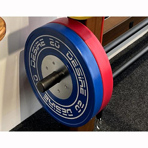 Desire Набор обрезиненных дисков Desire Купить Desire Набор обрезиненных дисков Desire в Москве